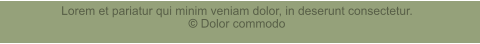 Lorem et pariatur qui minim veniam dolor, in deserunt consectetur. � Dolor commodo