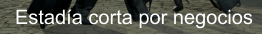 Estad�a corta por negocios